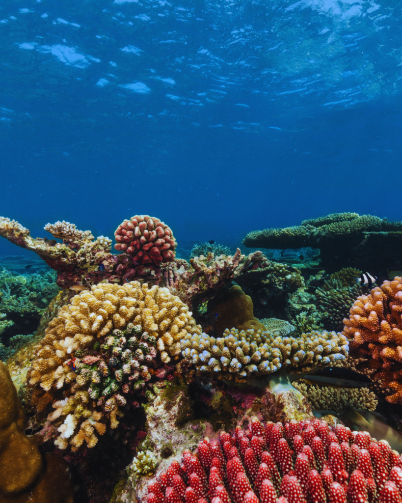 Stay tuned for our upcoming announcements!